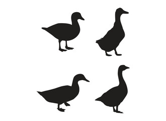 set of silhouettes of duck illustration vector