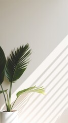 Banana leaf plant wall houseplant.