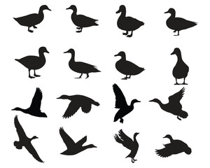 Fototapeta premium set of silhouettes of duck illustration vector