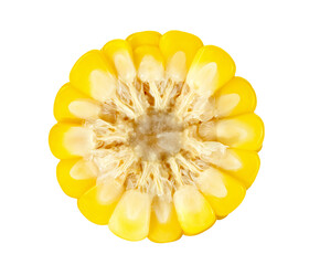 sweet corn isolated