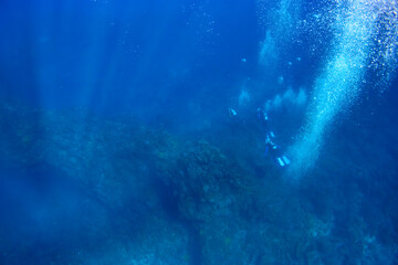 Fototapeta na wymiar 巨大なサンゴ群生を泳ぐスキューバダイバーたちとバブル。スキンダイビングポイントの底土海水浴場。 航路の終点、太平洋の大きな孤島、八丈島。 東京都伊豆諸島。 2020年2月22日水中撮影。Scuba divers and bubbles swimming in a huge coral colony.Sokodo Beach, a skin diving point. Izu Islan