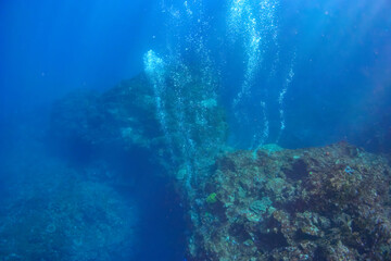 Naklejka na ściany i meble 巨大なサンゴ群生を泳ぐスキューバダイバーたちとバブル。スキンダイビングポイントの底土海水浴場。 航路の終点、太平洋の大きな孤島、八丈島。 東京都伊豆諸島。 2020年2月22日水中撮影。Scuba divers and bubbles swimming in a huge coral colony.Sokodo Beach, a skin diving point. Izu Islan