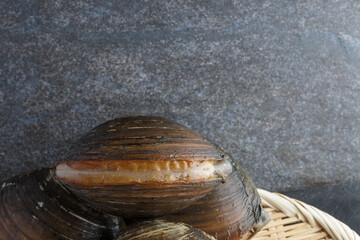 Fresh Japanese surf clam on stone background