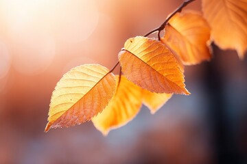 a close up of leaves on a branch