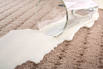 Spilled Milk on Carpet Insurance Claim Accident