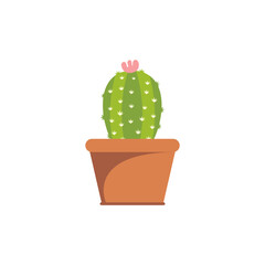 Cactus illustration