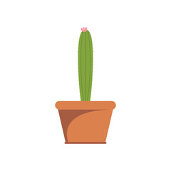 Cactus illustration