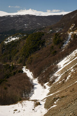Valle estilo alpino con camino nevado debajo entre el bosque seco. 