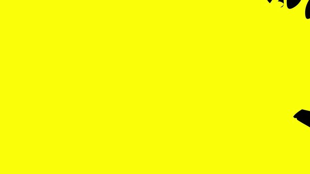 paint02_mp4