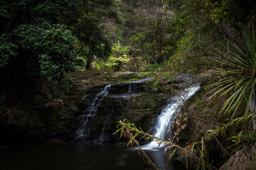 waterfall in the forest