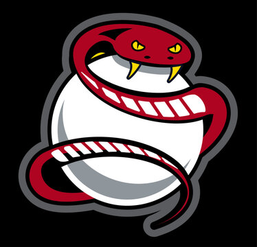 Snakes Baseball