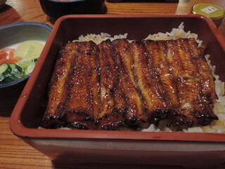 Grilled eel