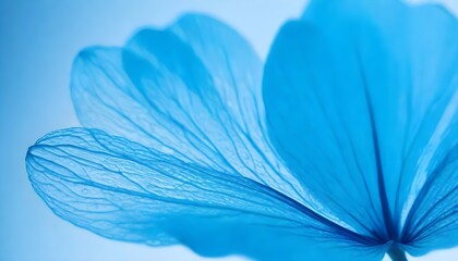 Blue calm Wallpaper background concept,Close-up shot of delicate blue flower petals, highlighting their intricate textures