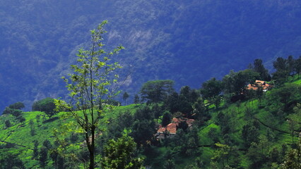 Obraz premium panorama of lush green nilgiri mountain foothills and terrace field, tea garden of coonoor near ooty hill station in tamilnadu, south india