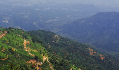 Naklejka premium panorama of lush green nilgiri mountain foothills and terrace field, tea garden of coonoor near ooty hill station in tamilnadu, south india