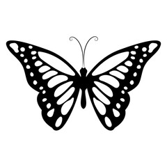 Butterfly Silhouette