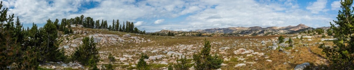Fototapeta na wymiar mountain landscape panorama with tundra meadow and pine forest