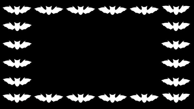 Fluttering white bats frame on plain black background
