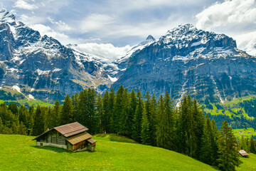 Fototapeta na wymiar Beautiful landscape alpine view in summer mountains around Grindelwald, Switzerland