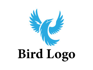 Bird logo design vector