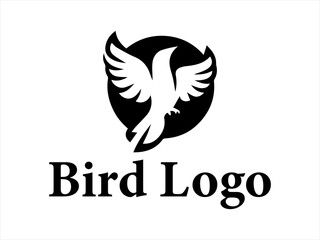 Bird logo design vector
