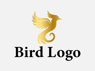 Bird logo collectiom design