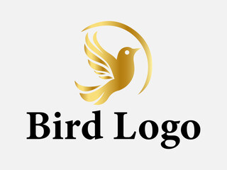 Bird logo collectiom design