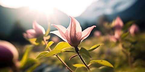 a close up of a flower