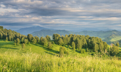 Mountain view, cloudy weather, contrasting light, grass in the foreground, selective focus