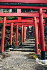 Path of red torii near a shrine in the Kyoto area of Japan.