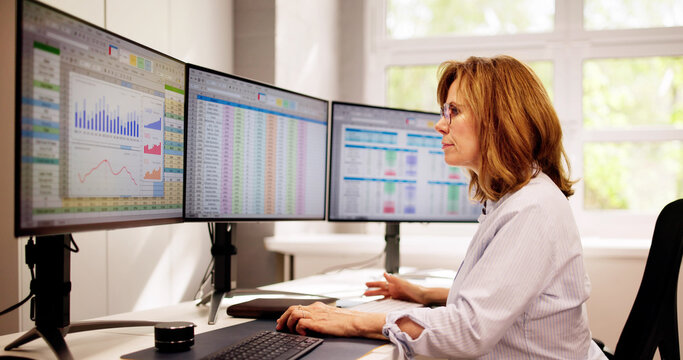 Computer Spreadsheet Data Analyst Woman