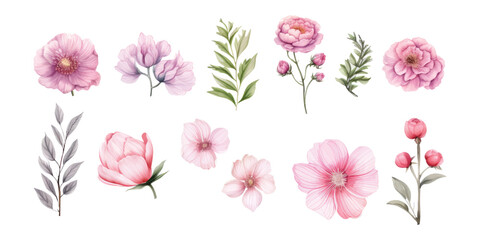 Obraz premium Water color flowers are suitable for wedding invitation elements