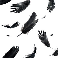 Crow feathers falling in air, isolated on transparent png.	