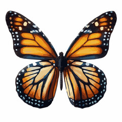 Colorful butterflies watercolor isolated on white background. 