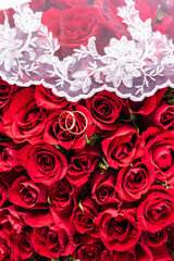 Background image for wedding design or mockup. Two gold wedding rings on a red roses bouquet background. white bridal veil. Top view. A copy space