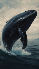 Whale is jumping