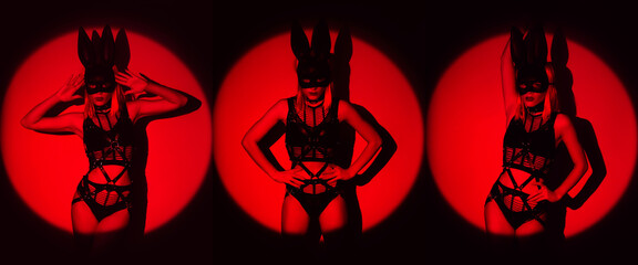 Sexy woman girl in lingerie, harness and hare mask posing erotically. Wide horizontal banner header...