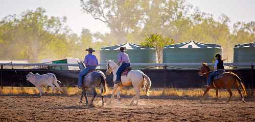 Cowboys on horseback at a campdraft event at an Australian rodeo