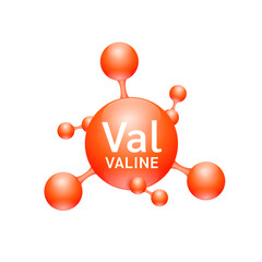 Valine amino acid. Molecules that combine to form proteins nutrients necessary for health muscle. Biomolecules model 3D red for ads dietary supplements. Medical scientific concepts. Vector.