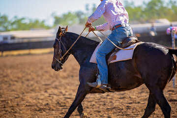 Rider on horseback competing at a campdraft event at a country rodeo in Australia