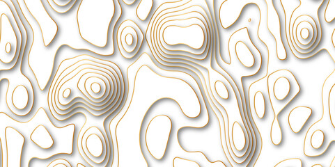 Abstract white colorful golden Topographic line map background. Contour elevation topographic and textured Background Modern design with White background with topographic wavy pate for decoration.