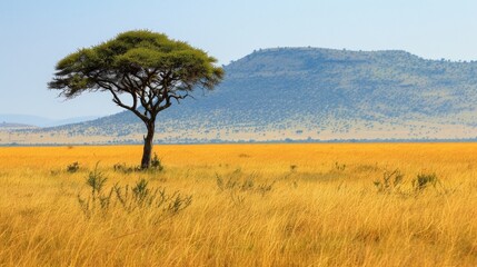  "Serengeti National Park in Tanzania"
