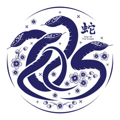 Year of the snake 2025, Chinese snake zodiac symbol forms the number 2025