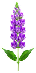 Naklejka premium Beautiful Blue Vervain flowers, Floral plants with blue blooms, PNG transparent image, AI generative.