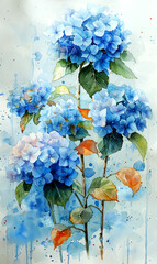 Watercolor painting of blue hydrangea flowers. - 797448957