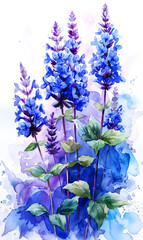 Watercolor lavender flowers on a watercolor background. - 797449533