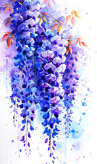 Watercolor illustration of wisteria flowers on watercolor background. - 797450181