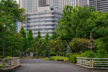 永田町国会前庭の風景