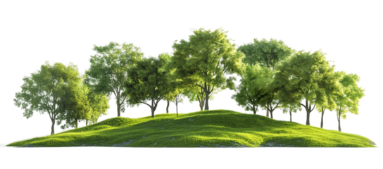 green tree isolated transparent background PNG 