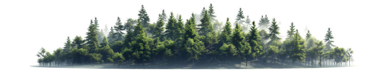 forest transparent background PNG